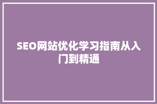 SEO网站优化学习指南从入门到精通 网站开发