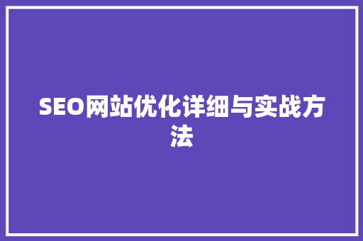 SEO网站优化详细与实战方法 seo技术