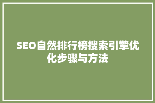 SEO自然排行榜搜索引擎优化步骤与方法