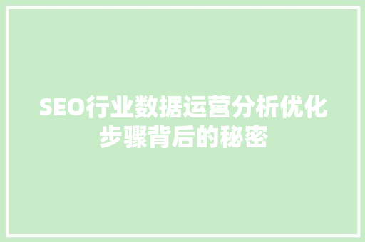 SEO行业数据运营分析优化步骤背后的秘密