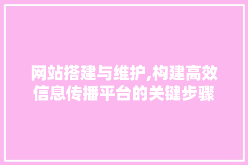 网站搭建与维护,构建高效信息传播平台的关键步骤 网站搭建与维护,构建高效信息传播平台的关键步骤 网站优化