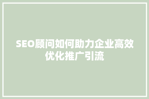SEO顾问如何助力企业高效优化推广引流