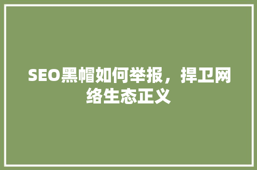 SEO黑帽如何举报，捍卫网络生态正义