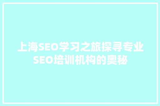上海SEO学习之旅探寻专业SEO培训机构的奥秘