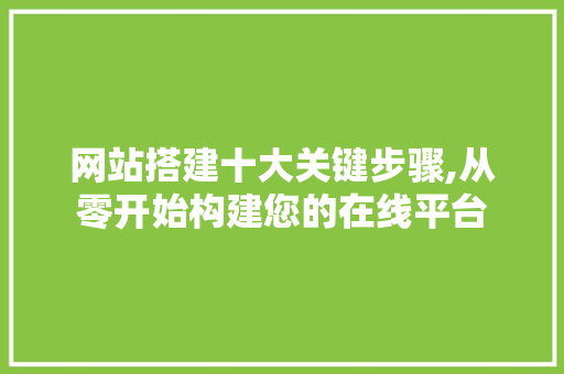 网站搭建十大关键步骤,从零开始构建您的在线平台 网站搭建十大关键步骤,从零开始构建您的在线平台 网站开发