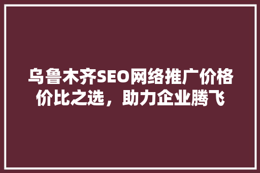 乌鲁木齐SEO网络推广价格价比之选，助力企业腾飞