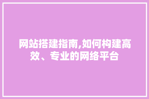 网站搭建指南,如何构建高效、专业的网络平台 网站搭建指南,如何构建高效、专业的网络平台 seo技术