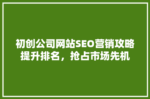 初创公司网站SEO营销攻略提升排名，抢占市场先机 小程序开发