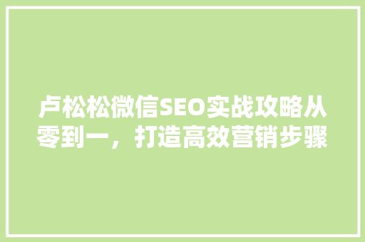 卢松松微信SEO实战攻略从零到一，打造高效营销步骤 百度算法