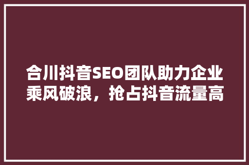 合川抖音SEO团队助力企业乘风破浪，抢占抖音流量高地