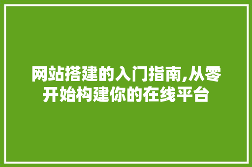 网站搭建的入门指南,从零开始构建你的在线平台