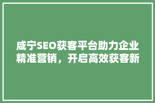 咸宁SEO获客平台助力企业精准营销，开启高效获客新篇章