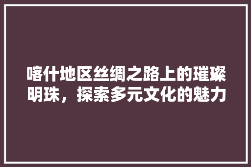 喀什地区丝绸之路上的璀璨明珠，探索多元文化的魅力所在 seo技术
