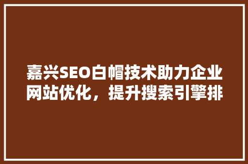 嘉兴SEO白帽技术助力企业网站优化，提升搜索引擎排名 头条优化