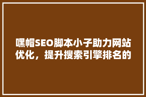 嘿帽SEO脚本小子助力网站优化，提升搜索引擎排名的神秘力量 seo技术