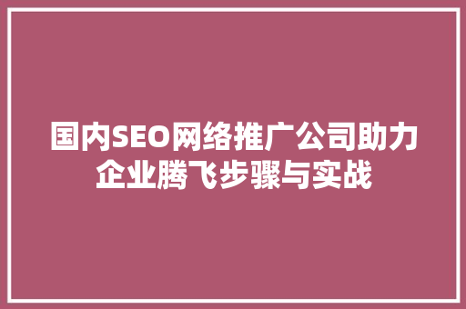 国内SEO网络推广公司助力企业腾飞步骤与实战