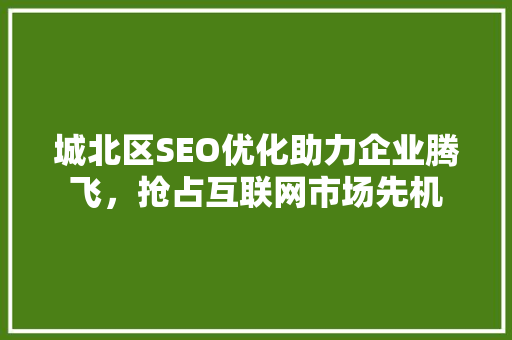 城北区SEO优化助力企业腾飞，抢占互联网市场先机 网站优化