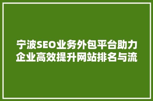 宁波SEO业务外包平台助力企业高效提升网站排名与流量