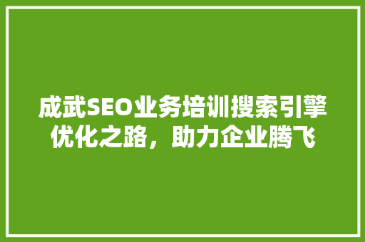 成武SEO业务培训搜索引擎优化之路，助力企业腾飞