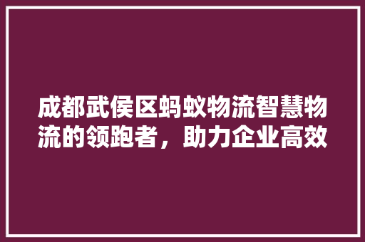成都武侯区蚂蚁物流智慧物流的领跑者，助力企业高效发展
