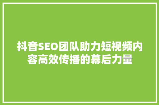 抖音SEO团队助力短视频内容高效传播的幕后力量