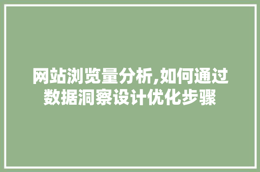 网站浏览量分析,如何通过数据洞察设计优化步骤