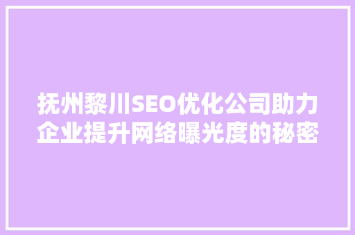 抚州黎川SEO优化公司助力企业提升网络曝光度的秘密武器