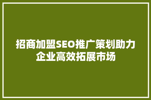招商加盟SEO推广策划助力企业高效拓展市场