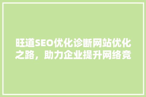 旺道SEO优化诊断网站优化之路，助力企业提升网络竞争力