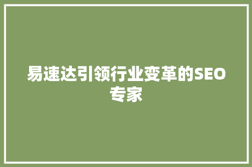 易速达引领行业变革的SEO专家