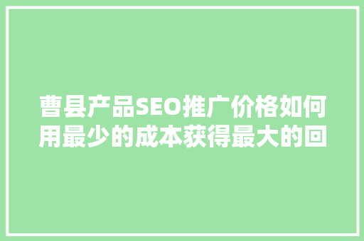 曹县产品SEO推广价格如何用最少的成本获得最大的回报