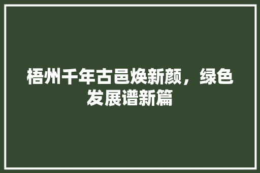 梧州千年古邑焕新颜，绿色发展谱新篇 seo技术