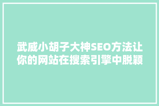 武威小胡子大神SEO方法让你的网站在搜索引擎中脱颖而出