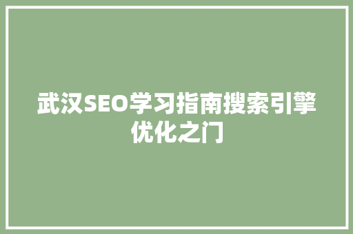武汉SEO学习指南搜索引擎优化之门