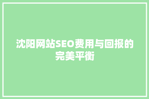 沈阳网站SEO费用与回报的完美平衡