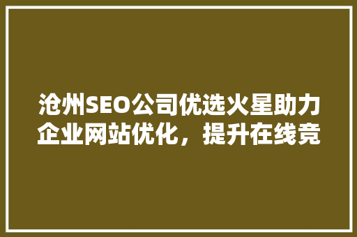 沧州SEO公司优选火星助力企业网站优化，提升在线竞争力