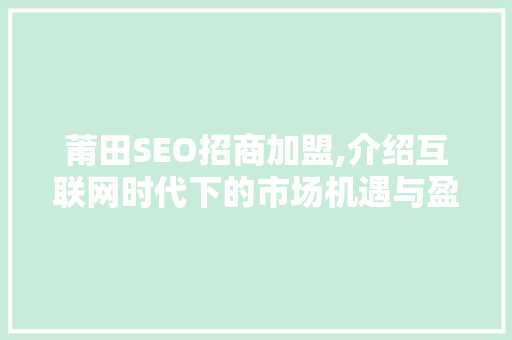 莆田SEO招商加盟,介绍互联网时代下的市场机遇与盈利之路