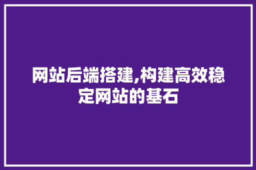 网站后端搭建,构建高效稳定网站的基石