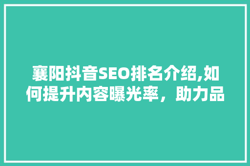 襄阳抖音SEO排名介绍,如何提升内容曝光率，助力品牌腾飞