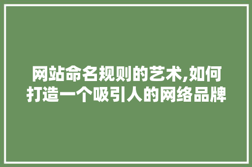 网站命名规则的艺术,如何打造一个吸引人的网络品牌