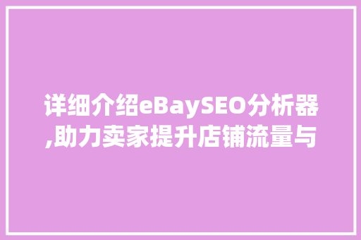 详细介绍eBaySEO分析器,助力卖家提升店铺流量与转化率 seo技术