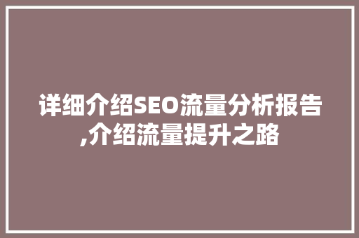 详细介绍SEO流量分析报告,介绍流量提升之路