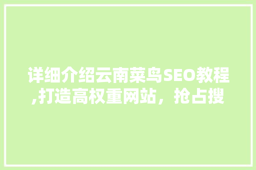 详细介绍云南菜鸟SEO教程,打造高权重网站，抢占搜索引擎排名制高点