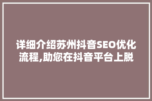 详细介绍苏州抖音SEO优化流程,助您在抖音平台上脱颖而出