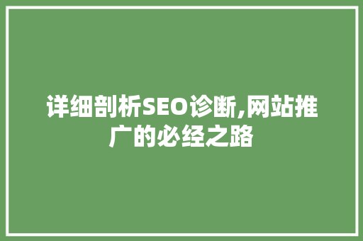 详细剖析SEO诊断,网站推广的必经之路