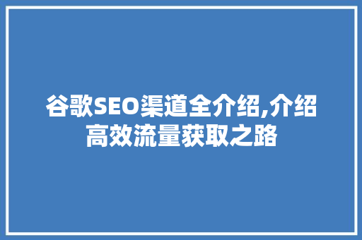 谷歌SEO渠道全介绍,介绍高效流量获取之路