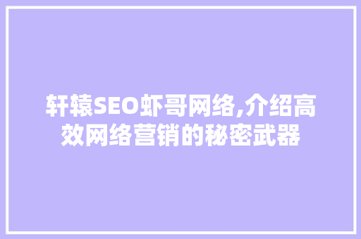 轩辕SEO虾哥网络,介绍高效网络营销的秘密武器