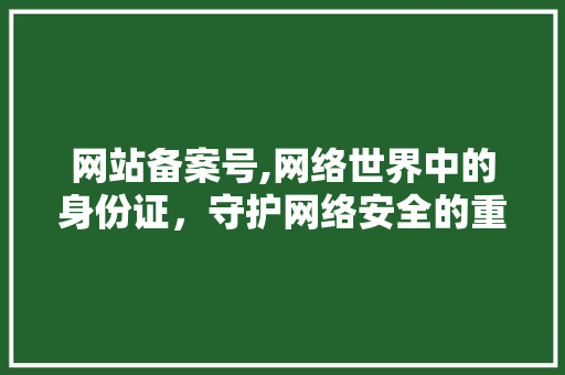 网站备案号,网络世界中的身份证，守护网络安全的重要凭证