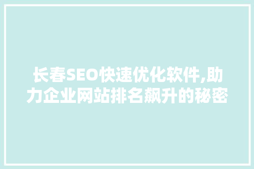 长春SEO快速优化软件,助力企业网站排名飙升的秘密武器