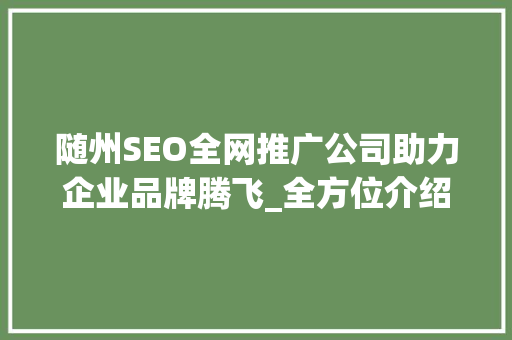 随州SEO全网推广公司助力企业品牌腾飞_全方位介绍本地化营销步骤
